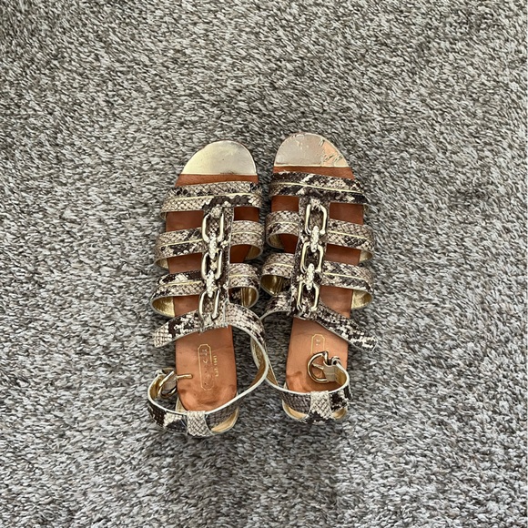 Coach Stylish Snakeskin Gladiator Sandals - Picture 1 of 2